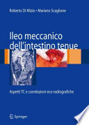 Ileo meccanico dell'intestino tenue : aspetti TC e correlazioni eco-radiografiche /