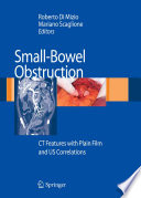 Small bowel obstruction : CT features with plain film and US correlations /
