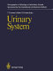 Urinary system /