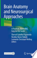 Brain Anatomy and Neurosurgical Approaches : A Practical, Illustrated, Easy-to-Use Guide /