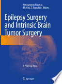 Epilepsy Surgery and Intrinsic Brain Tumor Surgery : A Practical Atlas /