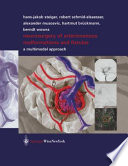 Neurosurgery of arteriovenous malformations and fistulas : a multimodal approach /