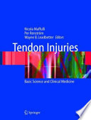 Tendon injuries : basic science and clinical medicine /
