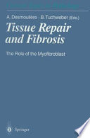 Tissue repair and fibrosis : the role of the myofibroblast /