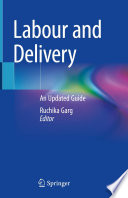Labour and Delivery : An Updated Guide /