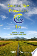 Charting new pathways to C₄ rice /