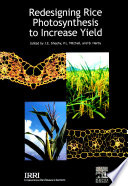 Redesigning rice photosynthesis to increase yield : proceedings of the Workshop on the Quest to Reduce Hunger : Redesigning Rice Photosynthesis, held in Los Baños, Philippines, 30 November-3 December 1999 /