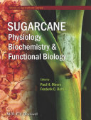 Physiology, biochemistry, and functional biology of sugarcane /