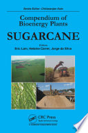 Sugarcane /