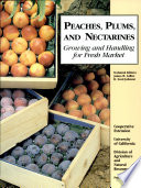 Peaches, plums and nectarines ; growing and handling for fresh   market /