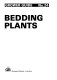 Bedding plants.