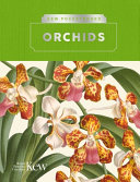 Orchids /