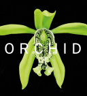 Orchid /