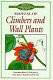 Manual of climbers and wall plants /