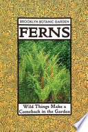 Ferns : wild things make a comeback in the garden /