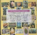 Diseases of tropical fruits, citrus, and sugarcane /