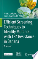 Efficient Screening Techniques to Identify Mutants with TR4 Resistance in Banana : Protocols /