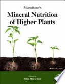 Marschner's Mineral Nutrition of Higher Plants.