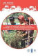 Tenure of indigenous peoples territories and REDD+ as a forestry management incentive : the case of Mesoamerican countries.