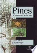 Pines of silvicultural importance /