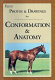Equine photos & drawings for conformation & anatomy /