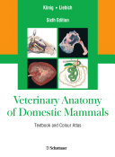 Veterinary anatomy of domestic mammals : textbook and colour atlas /