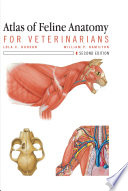 Atlas of feline anatomy for veterinarians /