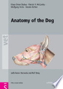 Anatomy of the dog.