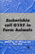Escherichia Coli in domestic animals and humans /