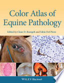 Color atlas of equine pathology /