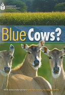 Blue cows? /