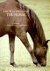 Encyclopedia of the horse /