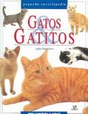 Gatos & gatitos /