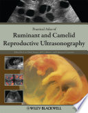 Practical atlas of ruminant and camelid reproductive ultrasonography /