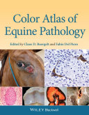 Color atlas of equine pathology /