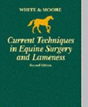 Current techniques in equine surgery and lameness /