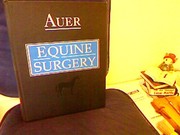 Equine surgery /