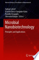 Microbial Nanobiotechnology : Principles and Applications /