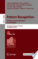 Pattern Recognition. ICPR International Workshops and Challenges : Virtual Event, January 10-15, 2021, Proceedings, Part VIII /