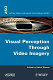 Visual perception through video imagery /