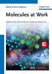 Molecules at work : selfassembly, nanomaterials, molecular machinery /
