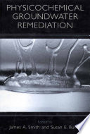 Physicochemical groundwater remediation /