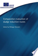 Comparative evaluation of sludge reduction routes /
