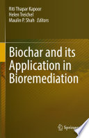 Biochar and its Application in Bioremediation /