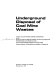 Underground disposal of coal mine wastes : a report to the National Science Foundation /