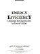 Energy efficiency : challenges and opportunities for electric utilities.