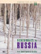Renewables in Russia : from opportunity to reality /
