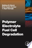 Polymer electrolyte fuel cell degradation /