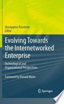 Evolving towards the internetworked enterprise : technological and organizational perspectives /