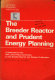 The breeder reactor and prudent energy planning : a statement /